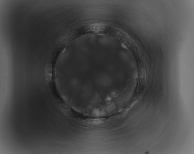 X0000100890553200807151059