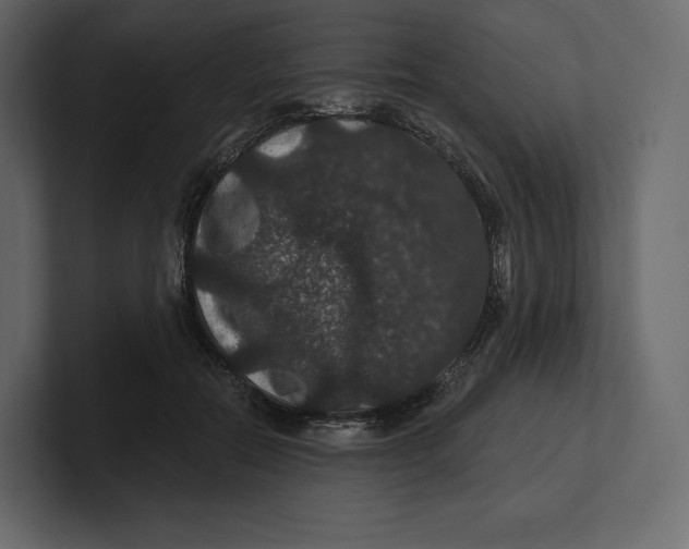 X0000100890554200807151059