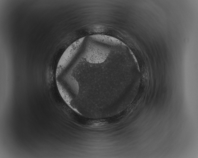 X0000100890555200807151059