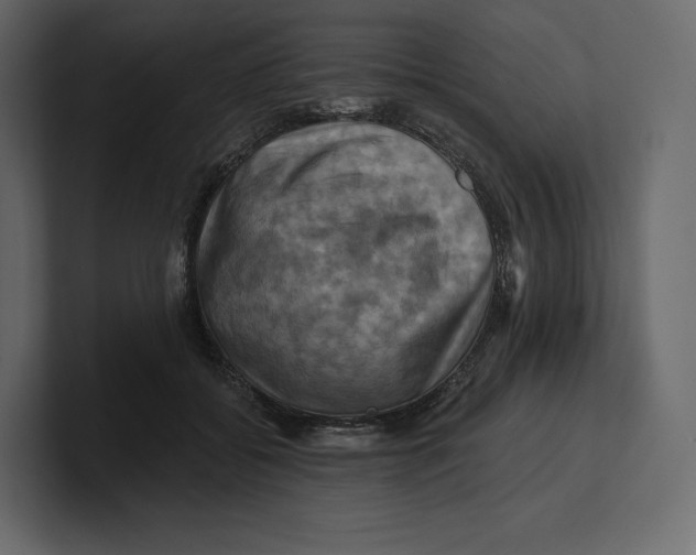 X0000100890556200807151059