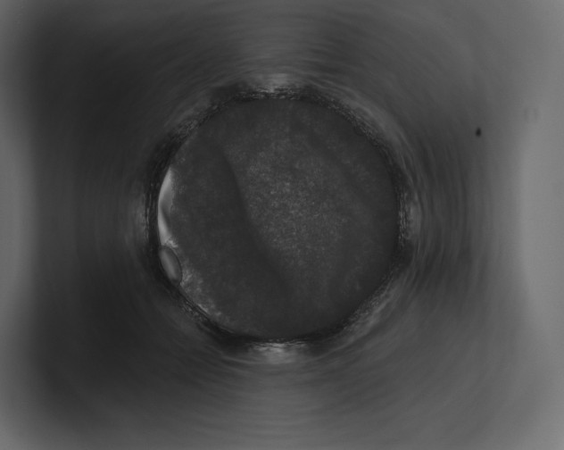 X0000100890558200807151059