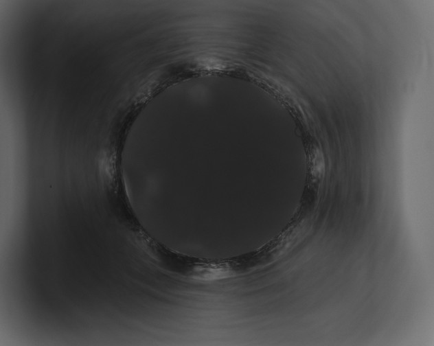 X0000100890559200807151059