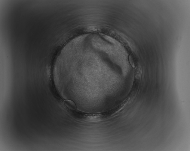 X0000100890560200807151059