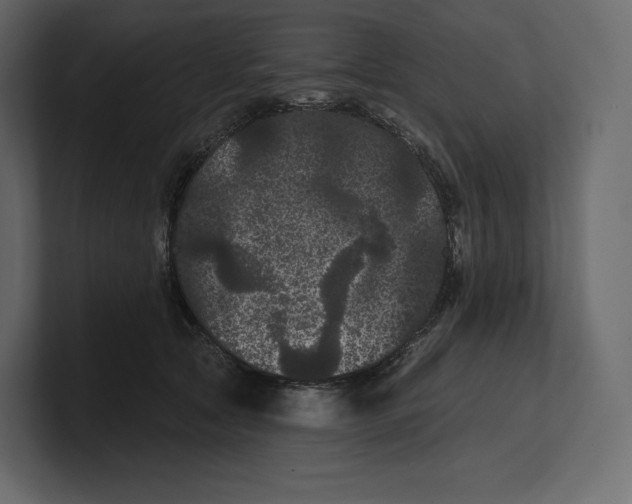 X0000100890561200807151059