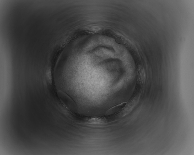 X0000100890562200807151059