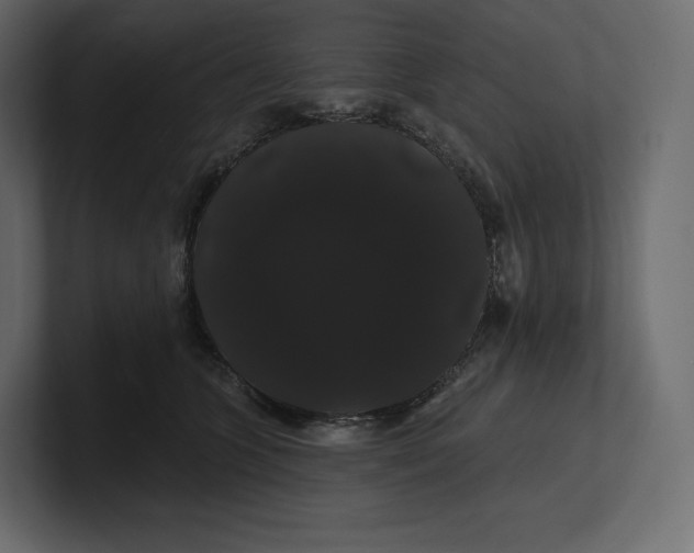 X0000100890563200807151059