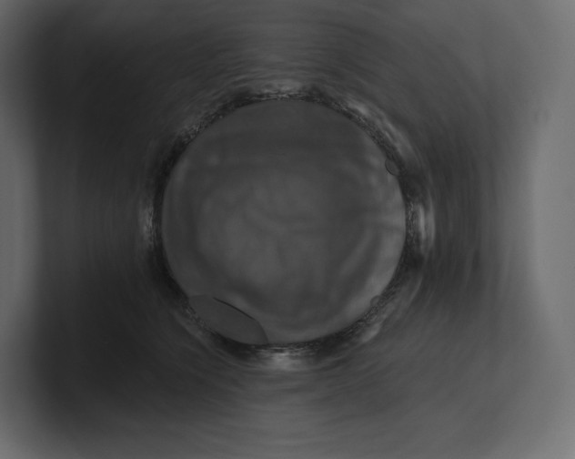 X0000100890564200807151059