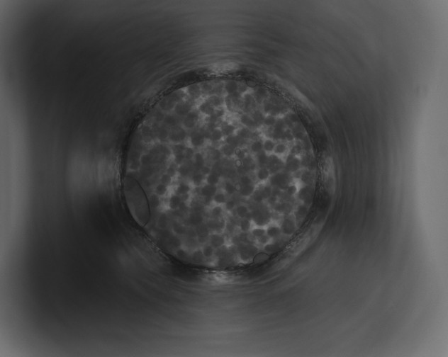 X0000100890565200807151059