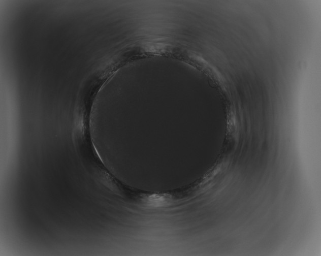 X0000100890566200807151059