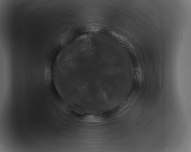 X0000100890568200807151059