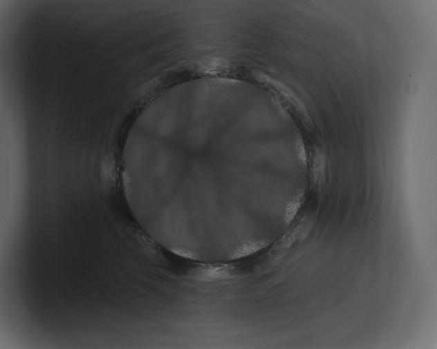 X0000100890569200807151059