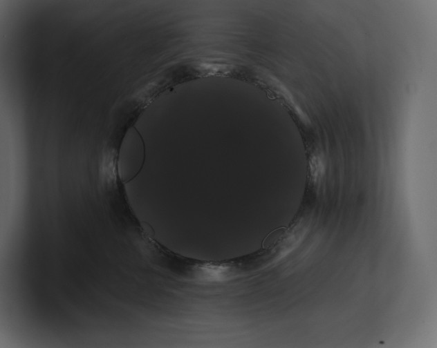 X0000100890570200807151059