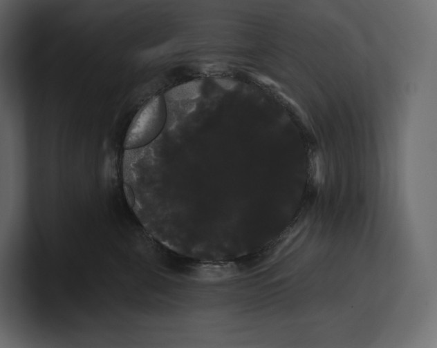 X0000100890571200807151059