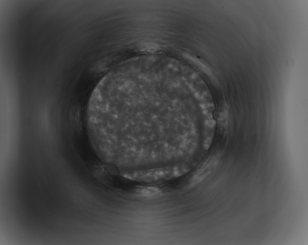 X0000100890572200807151059