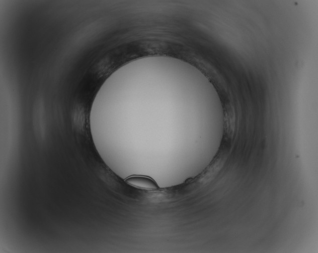 X0000100890574200807151059