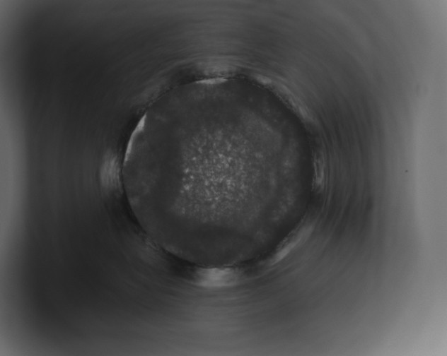 X0000100890575200807151059