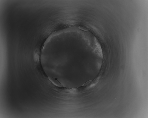 X0000100890576200807151059