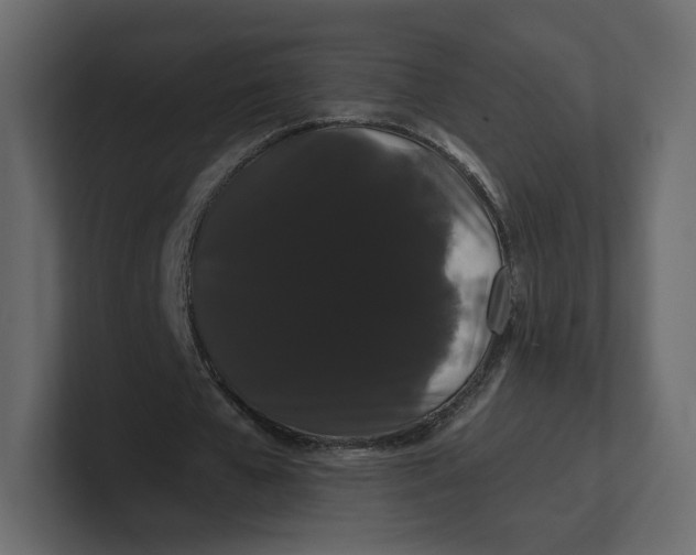 X0000100890577200807151059