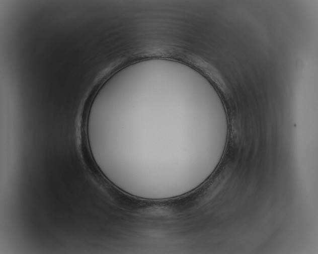 X0000100890578200807151059