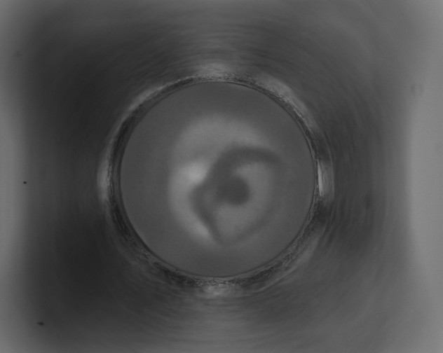 X0000100890579200807151059