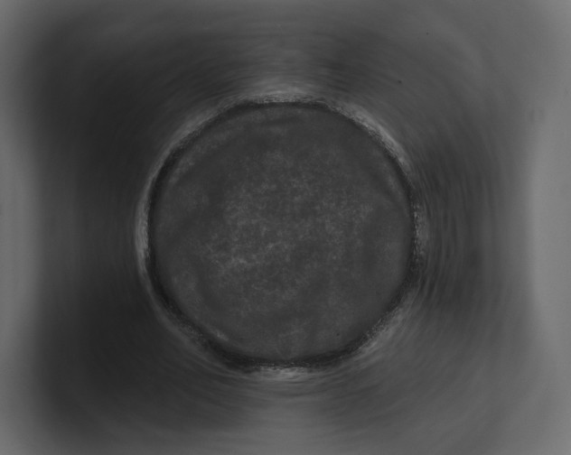 X0000100890582200807151059