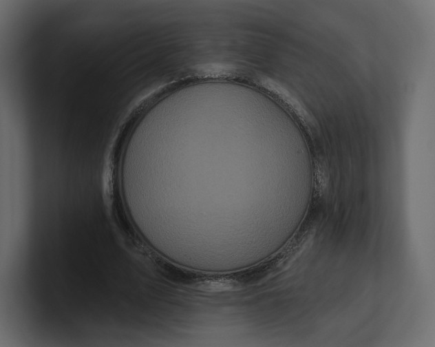 X0000100890583200807151059