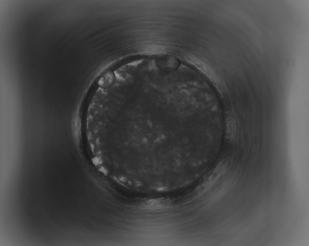 X0000100890584200807151059