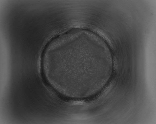 X0000100890586200807151059