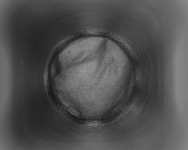 X0000100890587200807151059