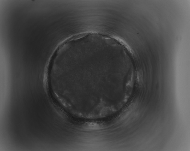 X0000100890588200807151059