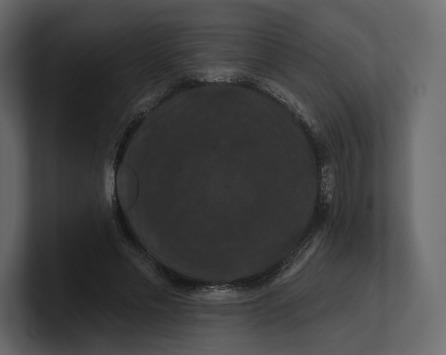 X0000100890589200807151059