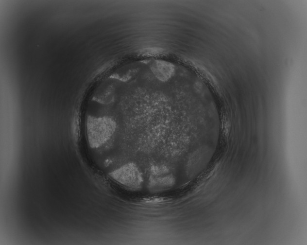 X0000100890591200807151058