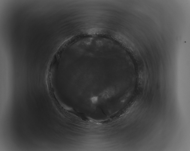 X0000100890592200807151058