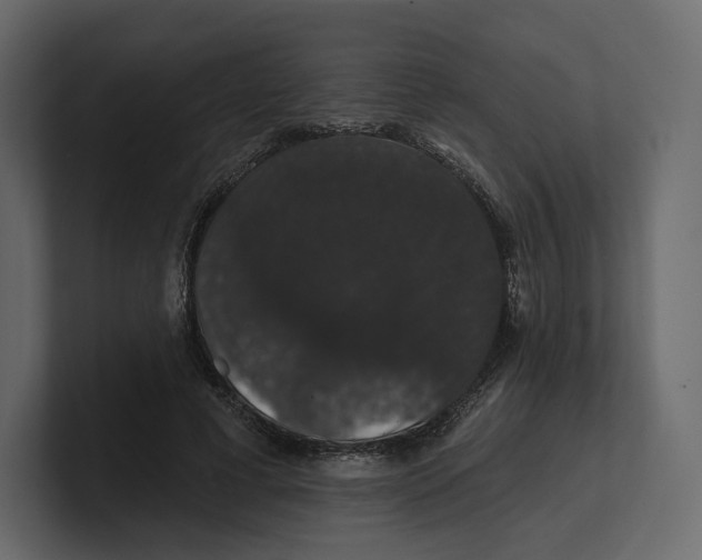 X0000100890593200807151058