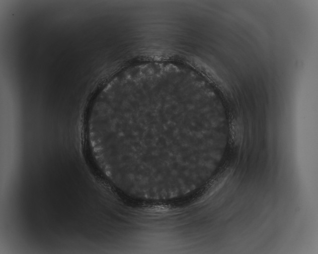 X0000100890594200807151058