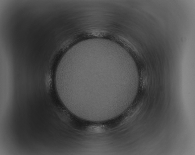 X0000100890595200807151058