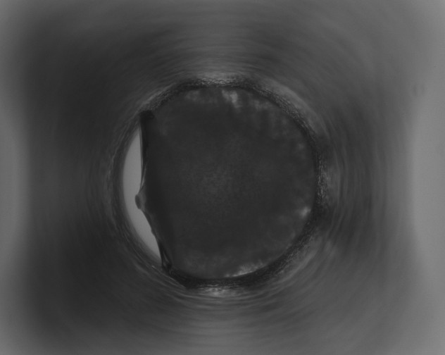 X0000100890596200807151058