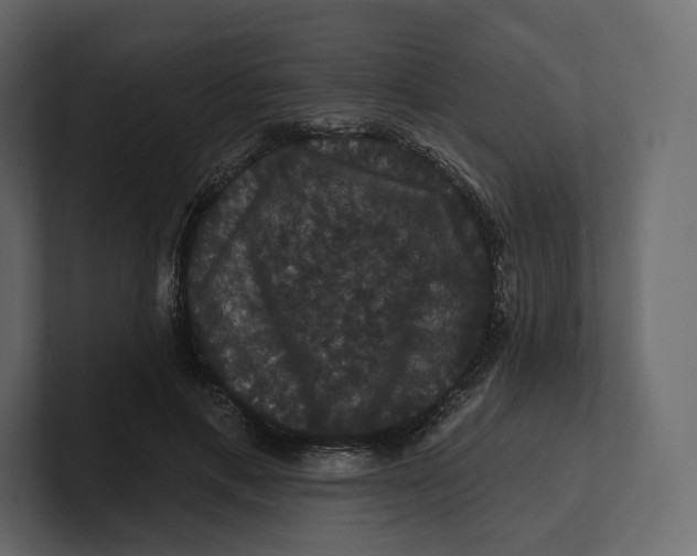 X0000100890597200807151058