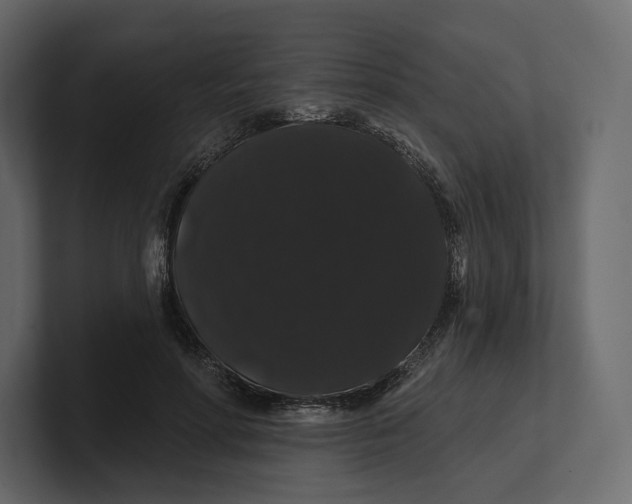 X0000100890598200807151058