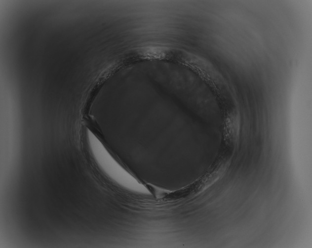 X0000100890600200807151058