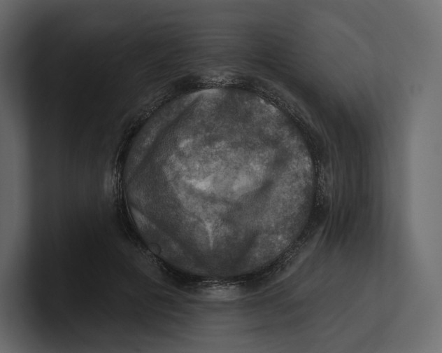 X0000100890601200807151058