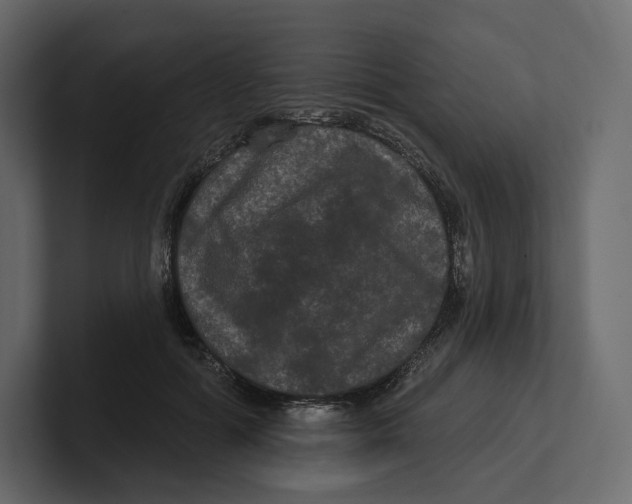 X0000100890602200807151058