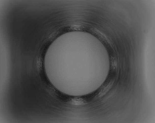 X0000100890603200807151058