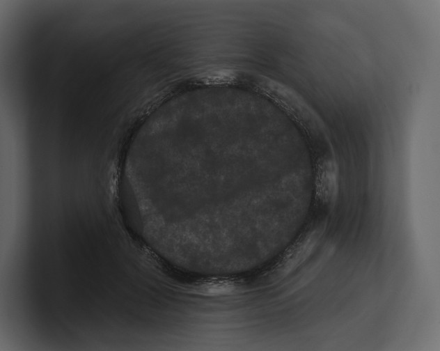 X0000100890604200807151058