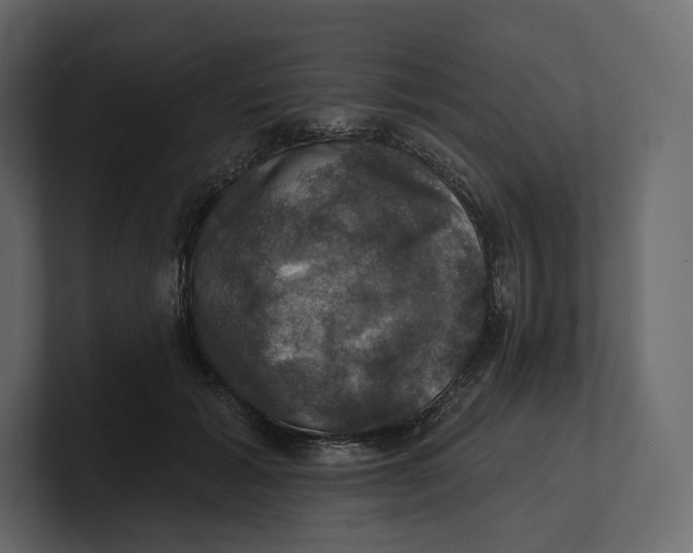 X0000100890605200807151058