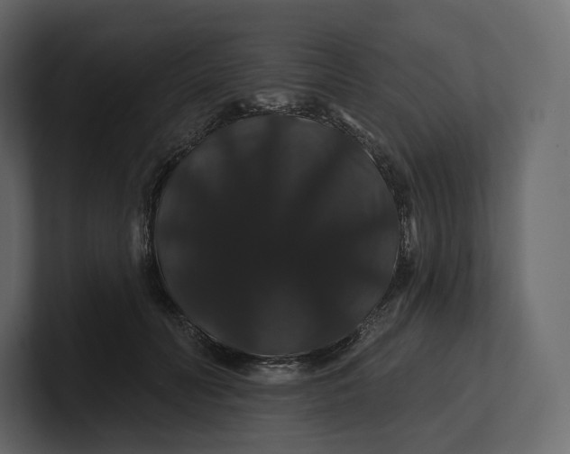 X0000100890606200807151058