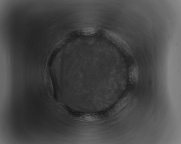 X0000100890608200807151058