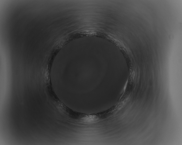 X0000100890609200807151058