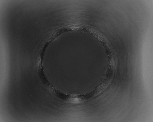 X0000100890610200807151058