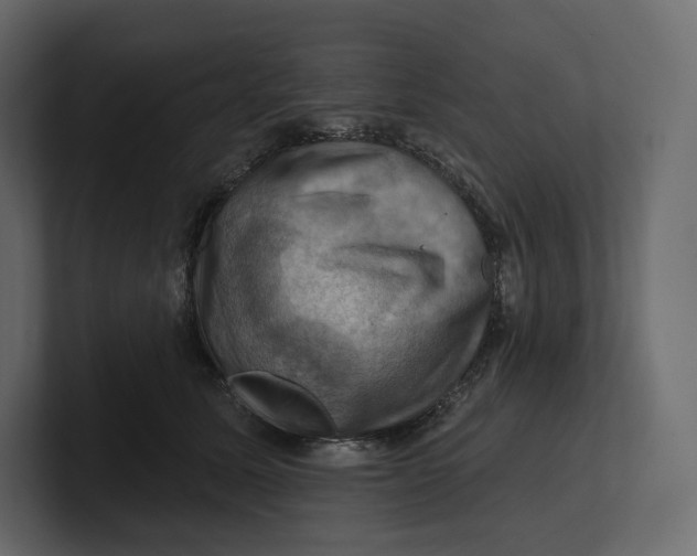 X0000100890611200807151058